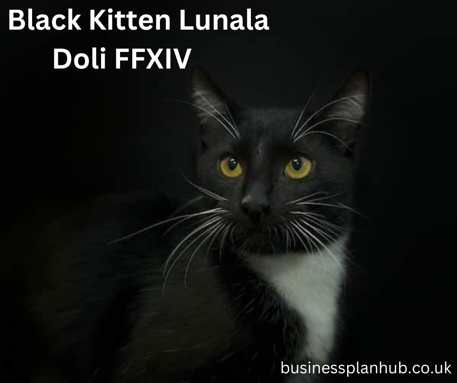 black kitten lunala doli ffxiv