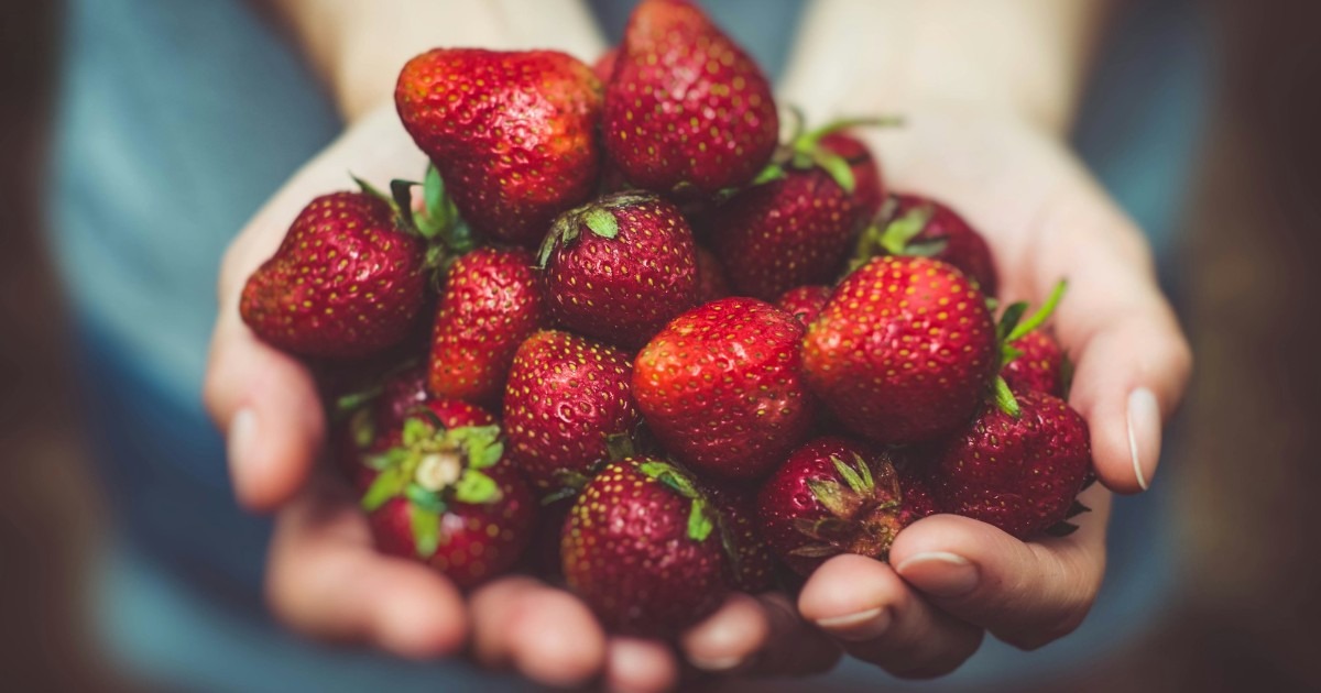 The Role of Nutrition in PTSD Recovery
